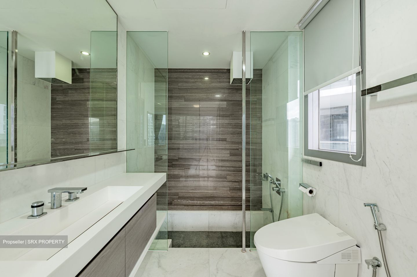 SilverSea (D15), Condominium #590346621
